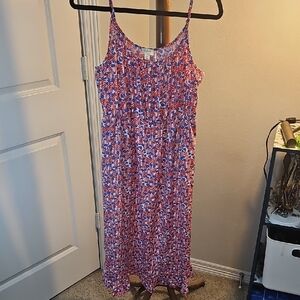 J. Crew Red and Blue Floral Dress